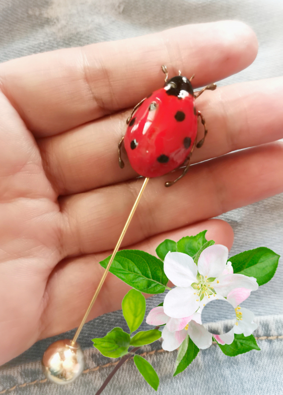 Альбом пользователя Наталья-Любава: Ювелирная смола, брошь божья коровка