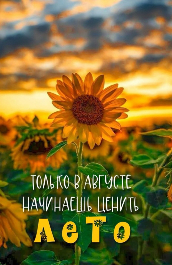 Альбом пользователя Наталья-Любава: Лето... Корзинка с цветами...