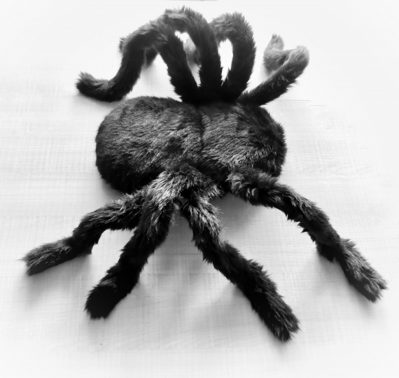 НЕбисерная лавка чудес: Паук - мягкая игрушка