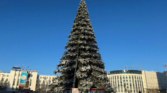 НЕбисерная лавка чудес: Домик в скорлупе желудя. Окончание.