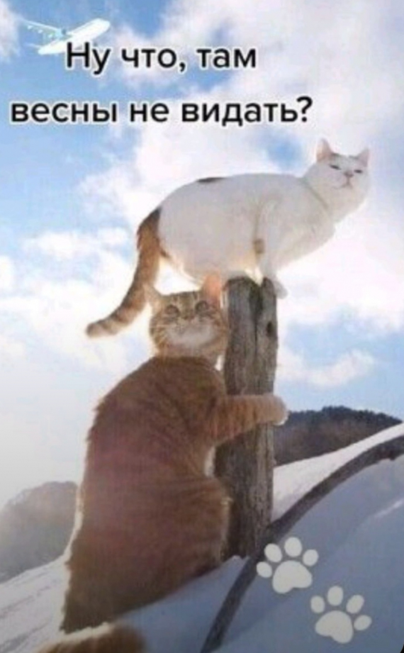 Альбом пользователя Наталья-Любава: Сумочка на фермуаре