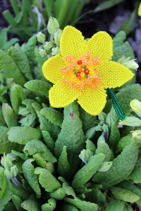 Альбом пользователя Okinawa: Брошь Желтый нарцисс