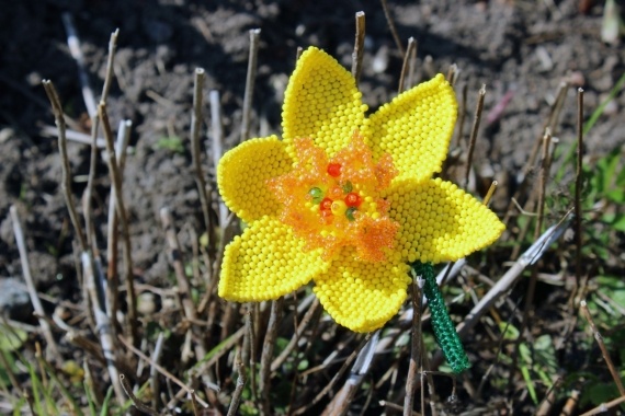 Альбом пользователя Okinawa: Брошь Желтый нарцисс