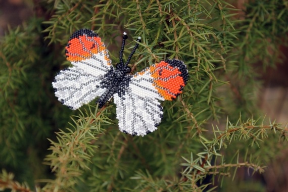 Альбом пользователя Okinawa: Брошь Зорька