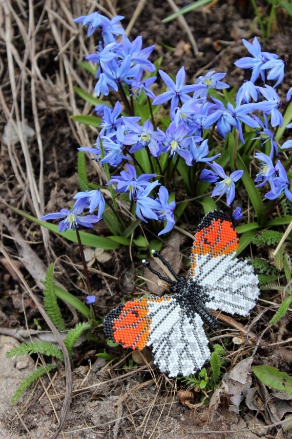 Альбом пользователя Okinawa: Брошь Зорька