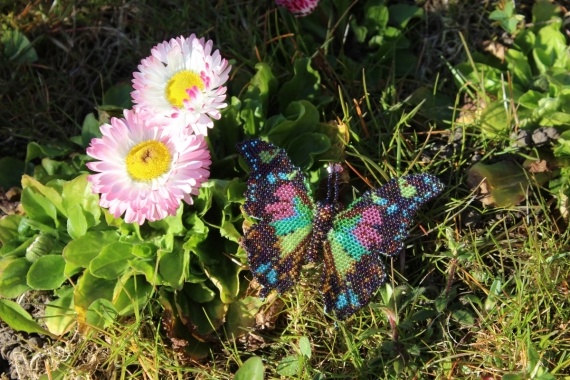Альбом пользователя Okinawa: Брошь Бабочка фиолетовая