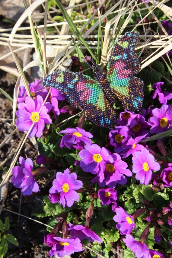 Альбом пользователя Okinawa: Брошь Бабочка фиолетовая