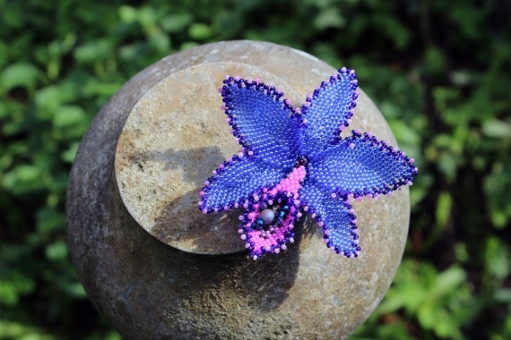 Альбом пользователя Okinawa: Брошь Голубая орхидея