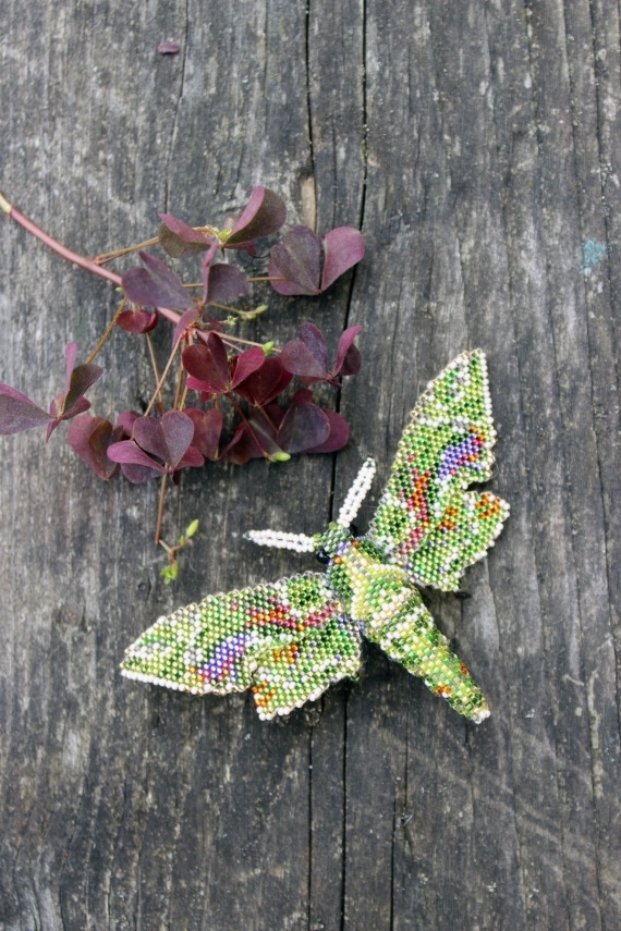 Альбом пользователя Okinawa: Брошь Бражник