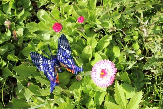 Альбом пользователя Okinawa: Брошь Синяя бабочка