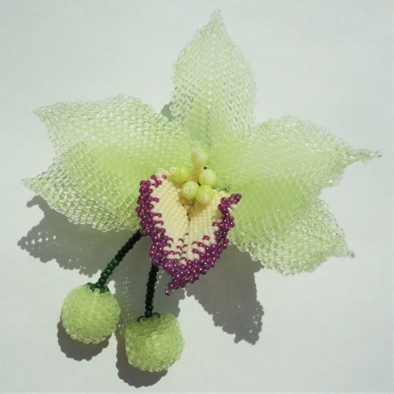 Альбом пользователя Stina: Орхидея.