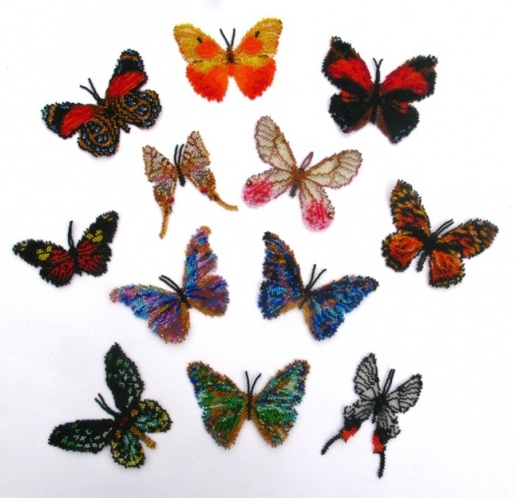 Альбом пользователя ЕкатеринаКостинская: Бабочки Южной Америки