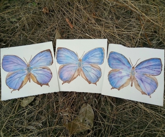 НЕбисерная лавка чудес: Бабочки акварельные