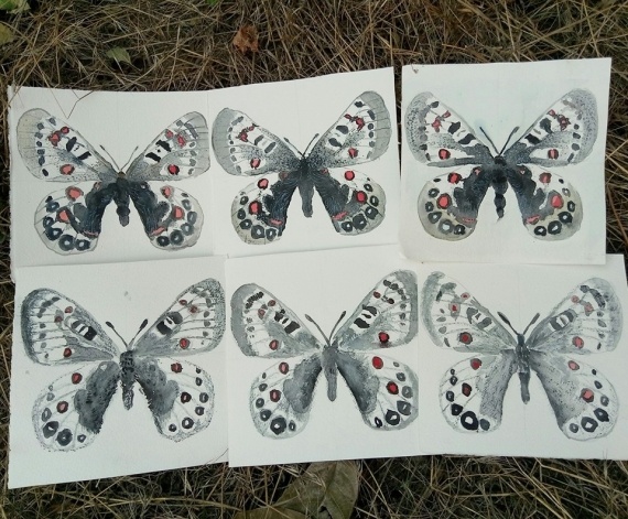 НЕбисерная лавка чудес: Бабочки акварельные