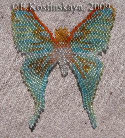 Альбом пользователя ЕкатеринаКостинская: Сортирую бабочек своих