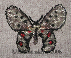 Альбом пользователя ЕкатеринаКостинская: Сортирую бабочек своих