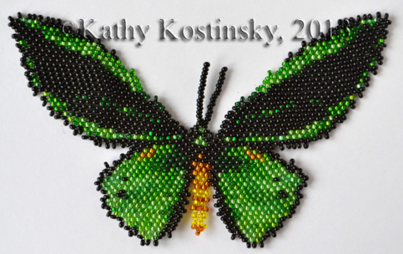 Альбом пользователя ЕкатеринаКостинская: Птицекрыл Приам Посейдон. Коллекция 63 бабочки мира