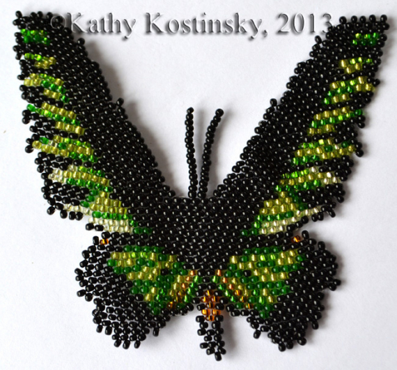 Альбом пользователя ЕкатеринаКостинская: Птицекрыл Брука. Коллекция 63 бабочки мира