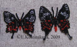 Альбом пользователя ЕкатеринаКостинская: Сортирую бабочек своих