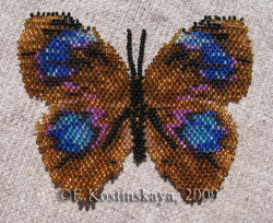 Альбом пользователя ЕкатеринаКостинская: Сортирую бабочек своих