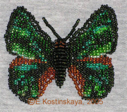 Альбом пользователя ЕкатеринаКостинская: Сортирую бабочек своих