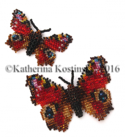 Альбом пользователя ЕкатеринаКостинская: Сортирую бабочек своих