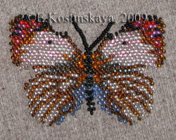 Альбом пользователя ЕкатеринаКостинская: Сортирую бабочек своих