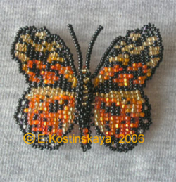 Альбом пользователя ЕкатеринаКостинская: Сортирую бабочек своих