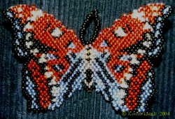 Альбом пользователя ЕкатеринаКостинская: Сортирую бабочек своих