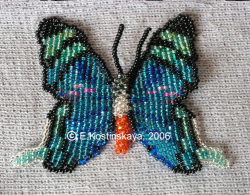 Альбом пользователя ЕкатеринаКостинская: Сортирую бабочек своих