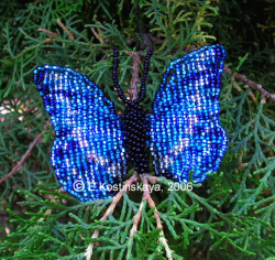 Альбом пользователя ЕкатеринаКостинская: Сортирую бабочек своих