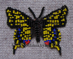 Альбом пользователя ЕкатеринаКостинская: Сортирую бабочек своих