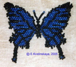 Альбом пользователя ЕкатеринаКостинская: Сортирую бабочек своих