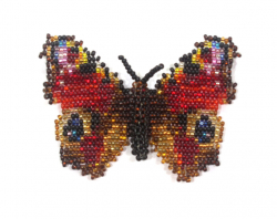 Альбом пользователя ЕкатеринаКостинская: Сортирую бабочек своих