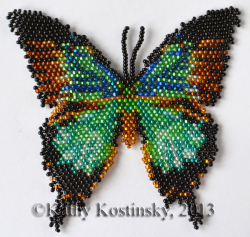 Альбом пользователя ЕкатеринаКостинская: Сортирую бабочек своих