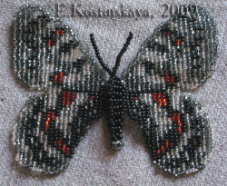 Альбом пользователя ЕкатеринаКостинская: Сортирую бабочек своих