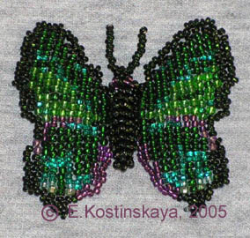 Альбом пользователя ЕкатеринаКостинская: Сортирую бабочек своих
