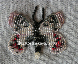 Альбом пользователя ЕкатеринаКостинская: Сортирую бабочек своих