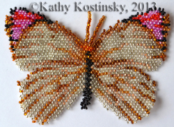 Альбом пользователя ЕкатеринаКостинская: Сортирую бабочек своих