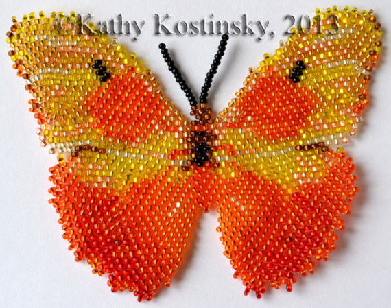 Альбом пользователя ЕкатеринаКостинская: Кубинская бабочка Фебиc Авелланеда. Коллекция 63 бабочки мира