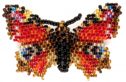 Альбом пользователя ЕкатеринаКостинская: Сортирую бабочек своих