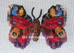 Альбом пользователя ЕкатеринаКостинская: Сортирую бабочек своих