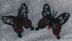 Альбом пользователя ЕкатеринаКостинская: Сортирую бабочек своих