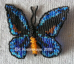 Альбом пользователя ЕкатеринаКостинская: Сортирую бабочек своих