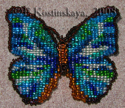 Альбом пользователя ЕкатеринаКостинская: Сортирую бабочек своих