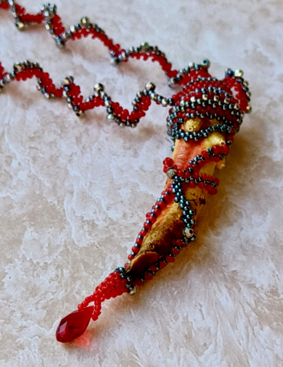 Альбом пользователя Stavka0761: И не коготь, и не клык, а клешня