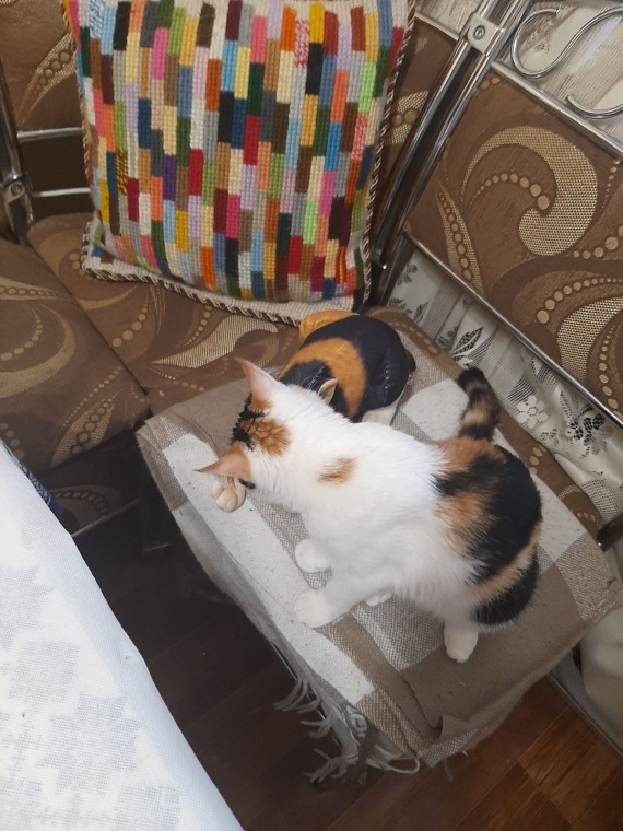 Флудилка: Коша с нагрузкой