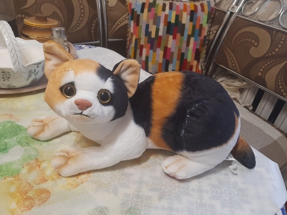 Флудилка: Коша с нагрузкой