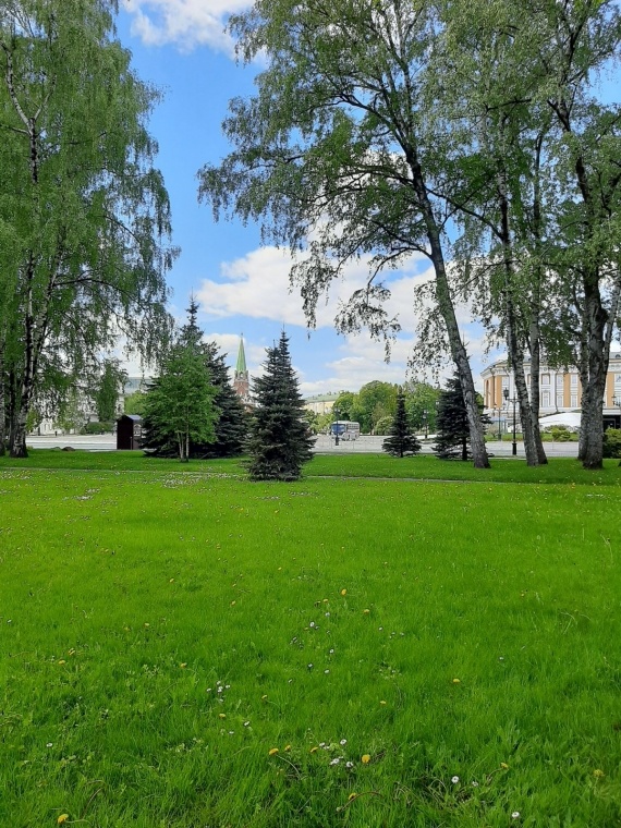 Флудилка: Два майских дня-Парк Раздолье и прогулка в Московский Кремль(много фоток,очень много)