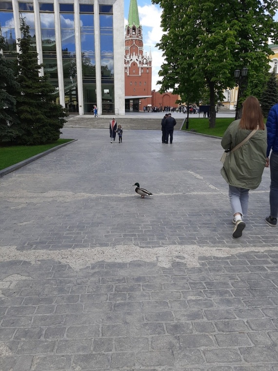 Флудилка: Два майских дня-Парк Раздолье и прогулка в Московский Кремль(много фоток,очень много)